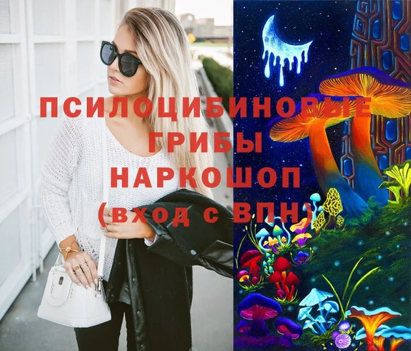 гидропоника Гусев