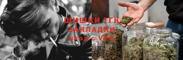 гидропоника Гусев