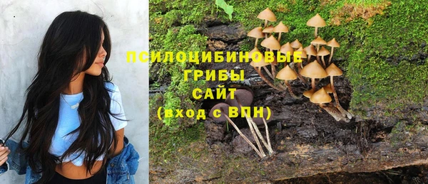 MDMA Гусь-Хрустальный