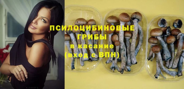 гидропоника Гусев