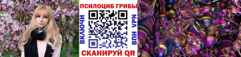 Галлюциногенные грибы MAGIC MUSHROOMS  Купить закладки  Фатеж 